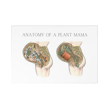 Load image into Gallery viewer, Anatomy Of A Plant Mama Postcards (7 pcs)
