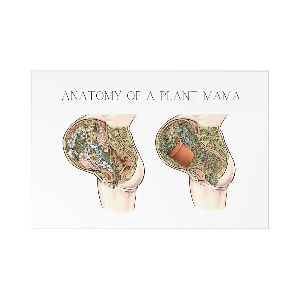 Anatomy Of A Plant Mama Postcards (7 pcs)