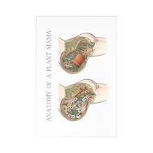 Load image into Gallery viewer, Anatomy Of A Plant Mama Postcards (7 pcs)
